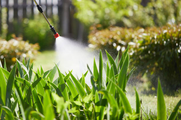 Tamper-Resistant Bait Stations for Rodents in Dumbarton