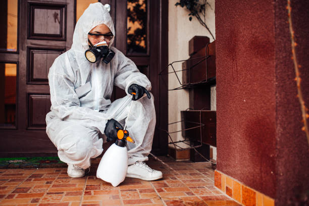 Attic and Crawl Space Rodent Treatment in Dumbarton